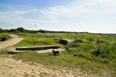 pointe du-hoc